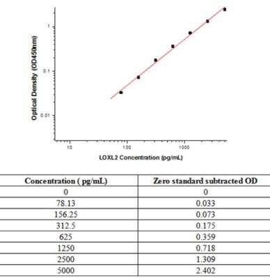 Sandwich ELISA Lysyl Oxidase Homolog 2/LOXL2 Antibody Pair [HRP]